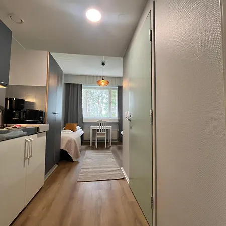 Academy 4* Kemijärvi