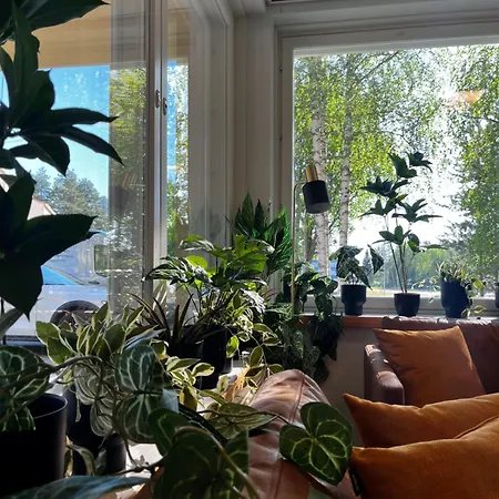 Academy 4* Kemijärvi